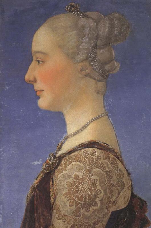 Piero pollaiolo Female portrait France oil painting art